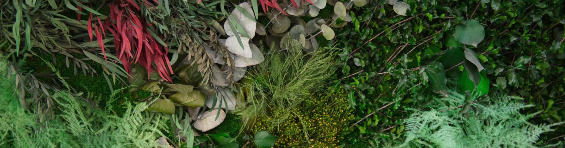 Pflanzenbild mit Kunstpflanzen
