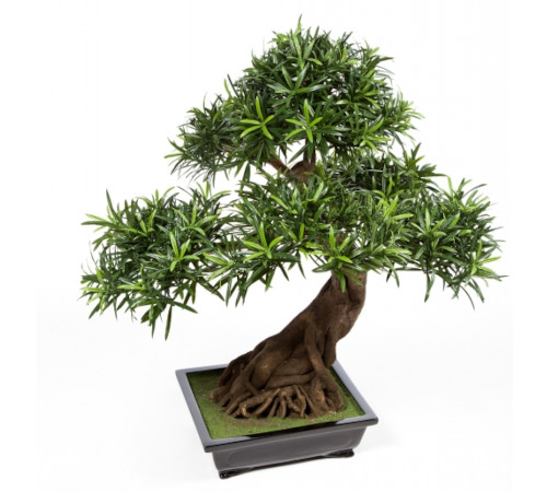 kunstbaeume-bonsai
