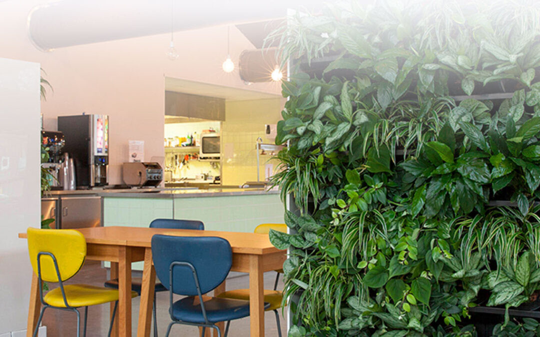Was ist eine Living Green Wall?