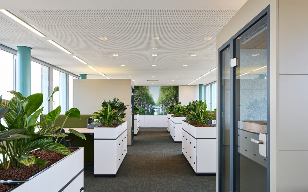 Büropflanzen mit Konzept: Mehr als nur Deko