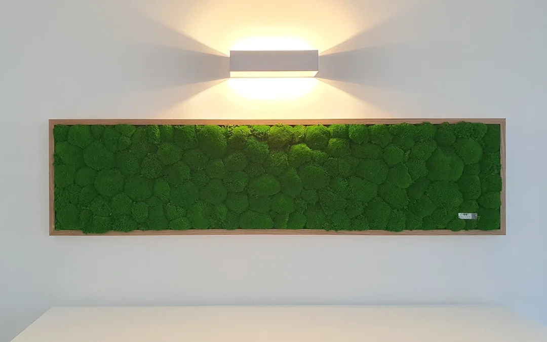Mooswände & Moosbilder: Der grüne Interior-Trend