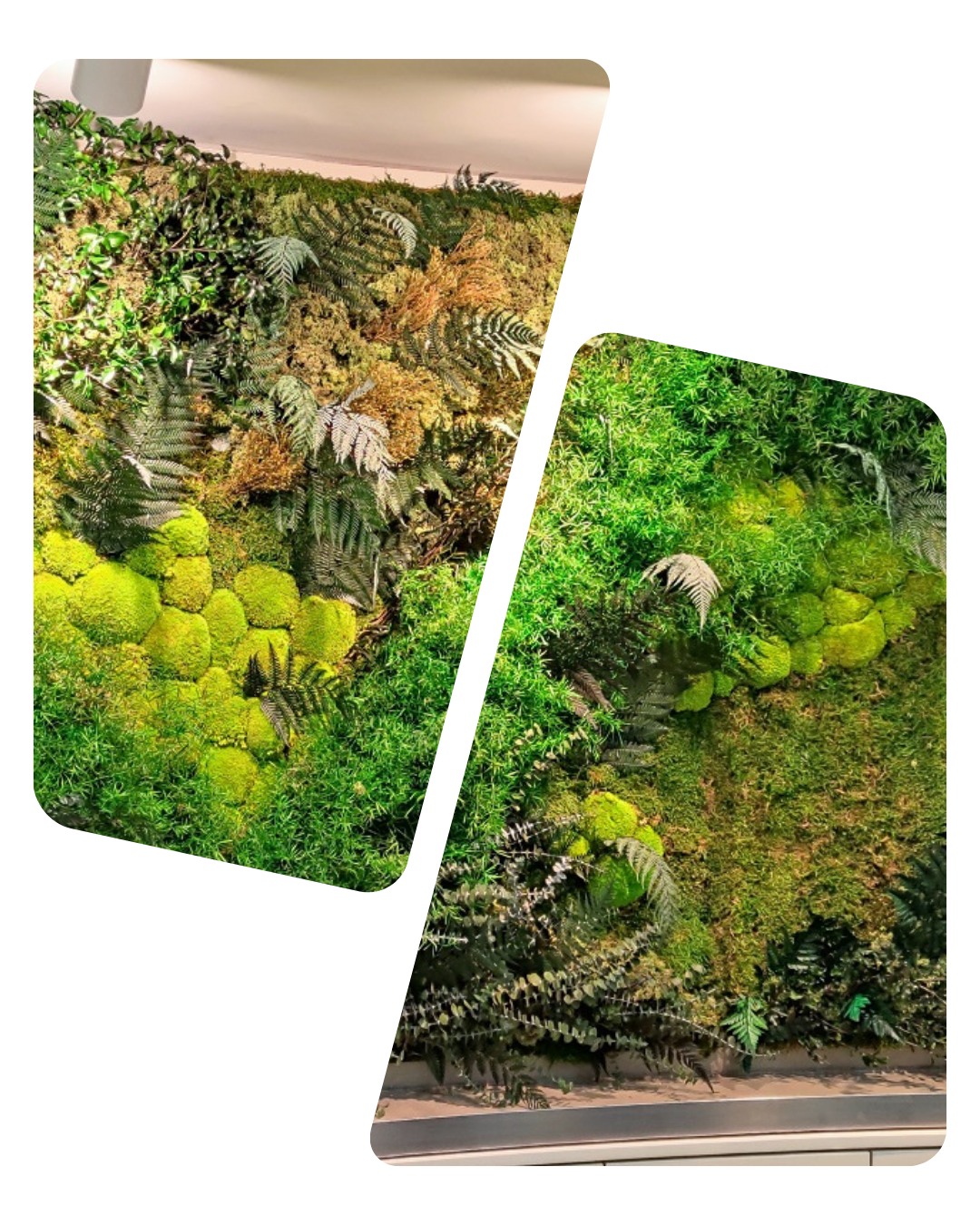 Fullforest Mooswand
