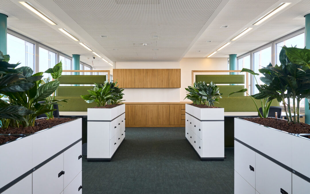 Büropflanzen-Trends 2025: Diese Konzepte setzen sich durch