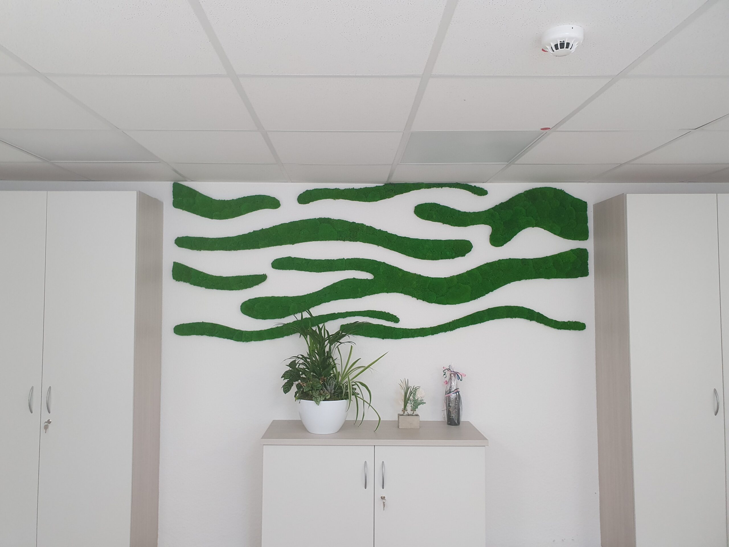 20240822_164512 Biophilic Design: Organische Formen