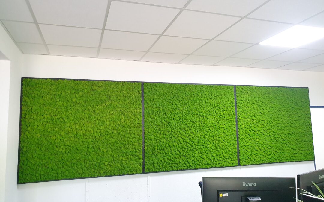 Biophilic Design: Mit Mooswand & Co zum grünen Interior Trend
