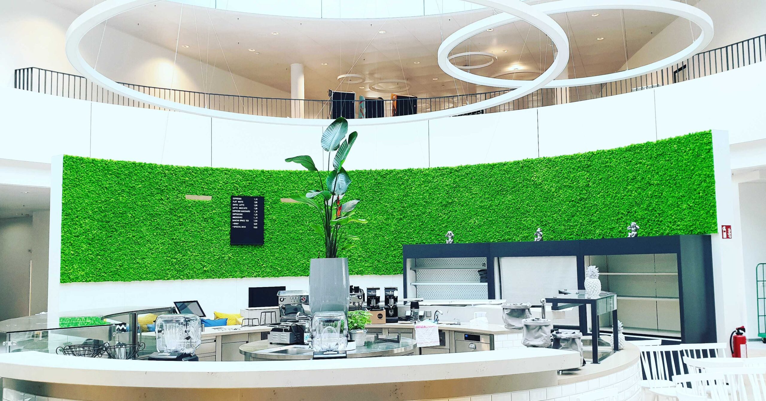 Mythen und Fakten über Hydrokultur: Aufklärung und Praxis