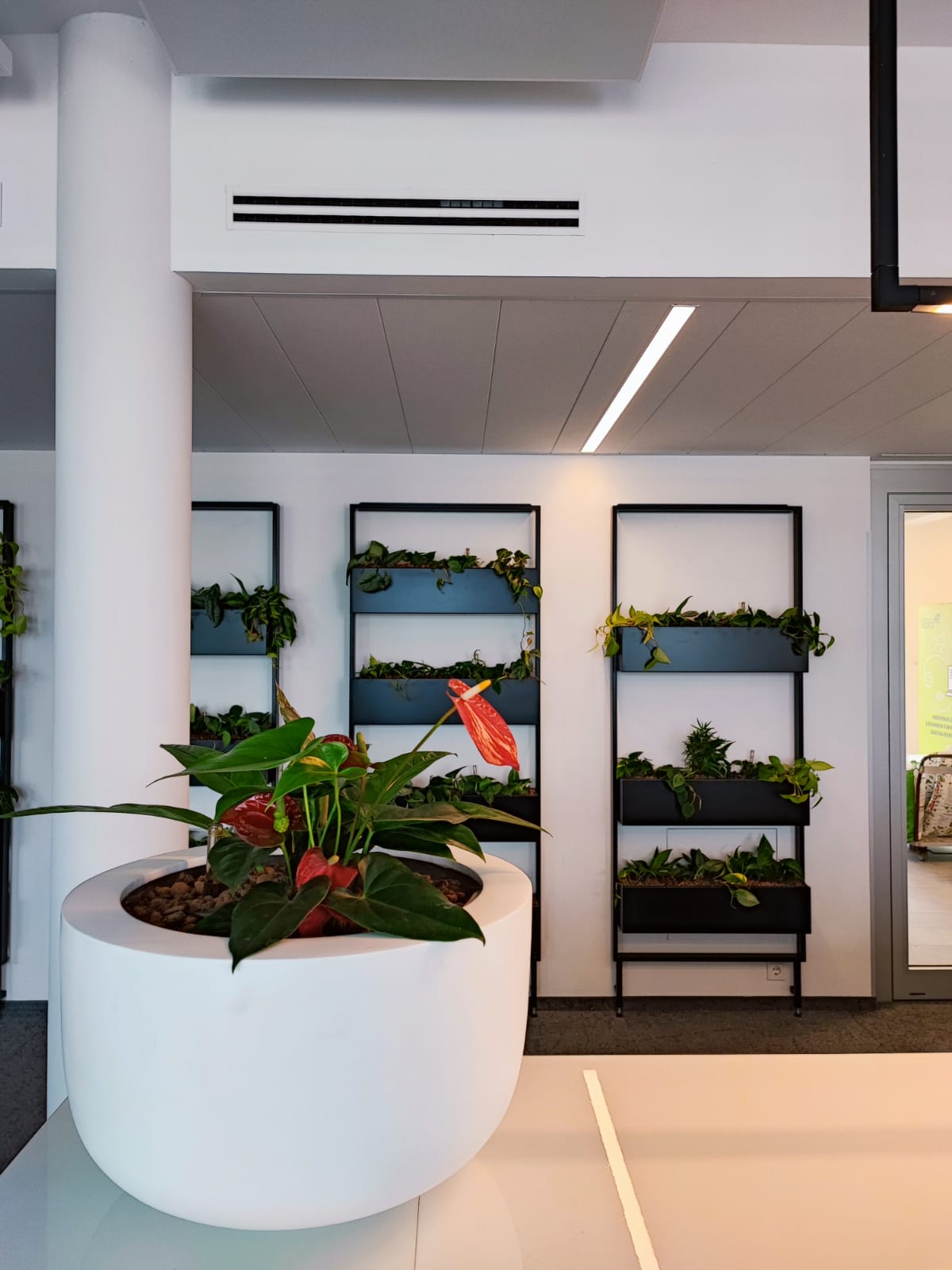 Innenraumbegrünung im Büro: Struktur schaffen durch Mooswand / Trennwand